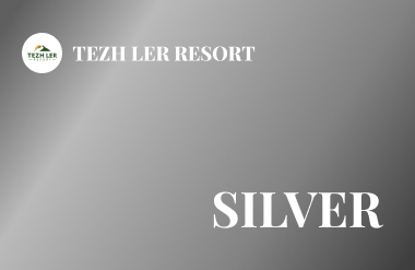 Silver card